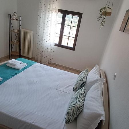 Ioanna'S Apartment Potamia  外观 照片