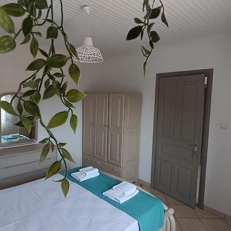 Ioanna'S Apartment Potamia  外观 照片